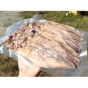 Khô Mực 500gram, Hải sản Năm Vạn